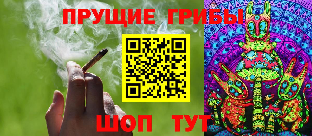 Новокубанск  Псилоцибиновые грибы прущие грибы  Вход с VPN  Галлюциногенные грибы Psilocybe 