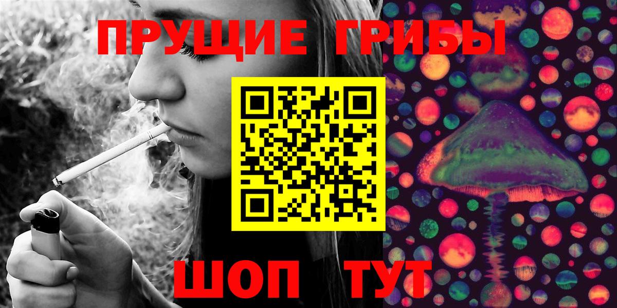 Псилоцибиновые грибы Cubensis Новокубанск