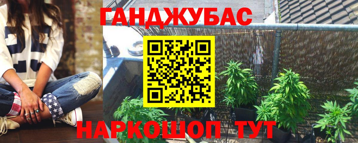 Марихуана планчик  Шишки марихуана OG Kush  Канабис семена  Новокубанск  Вход с VPN 